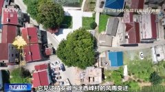 《古树名木条例》施行看一看各地古树取城市若